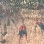 Photo taken by Shanthi V