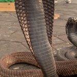 Photo taken by Bruce B