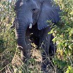 Photo taken by rhonda c