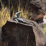 Photo taken by Bert B