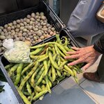 Photo taken by Alyson P