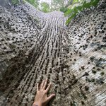 Photo taken by Keyla A