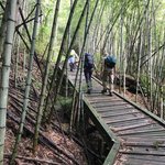 Starting the climb to Toriitoge | Photo taken by Louise I