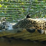 Photo taken by Laura R