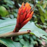 Photo taken by Mordechay T