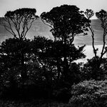 Photo taken by Peter B