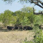 Photo taken by Yin Ling K