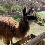 Photo taken by Kimberly A