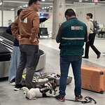 Photo taken by Stephanie S