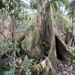 Photo taken by Breann B