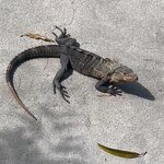 Photo taken by Darcy M