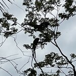 Photo taken by Deborah S