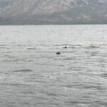 Photo taken by Mary Rita G