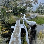 Photo taken by Terry M