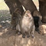 Photo taken by Paula H