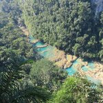 Photo taken by Mark B