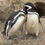 Photo taken by Sharon B