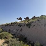 Photo taken by Colin L