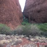 Photo taken by Alfredo H