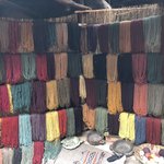 Amazing colors | Photo taken by Susan D