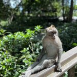 Photo taken by Judith D