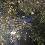 Photo taken by Julie G