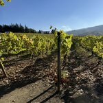 Photo taken by Donna D