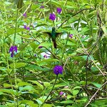 Photo taken by Cara A