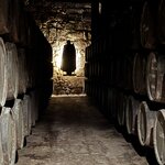 Photo taken by Lisa G