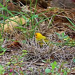 Photo taken by Linda M