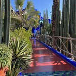 Photo taken by Lindsey B