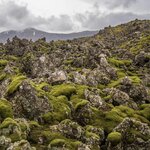 Photo taken by Sue M