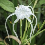 Photo taken by Linda W