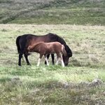 Photo taken by Jon A