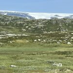 Photo taken by Cindi H