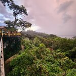 Photo taken by Tenley G