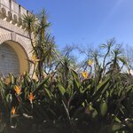 Photo taken by Paul M