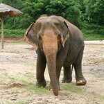 Photo taken by Dianne M