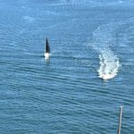 Photo taken by Amy W