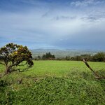 Photo taken by Laura F