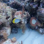 Photo taken by Nancy L