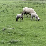 Photo taken by Carol M