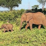 Photo taken by Michael Z