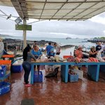 The fish market, plenty of homeless creatures looking for hand-outs... | Photo taken by Peter S