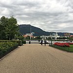 Photo taken by Katie D