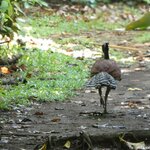 Photo taken by Brett F