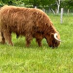 Photo taken by John K