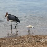 Photo taken by Michael L