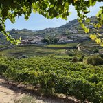 Photo taken by Keri G