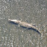 Photo taken by Darlene N